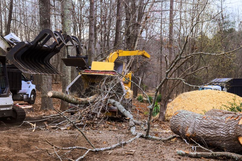 Sumac Removal Equipment
