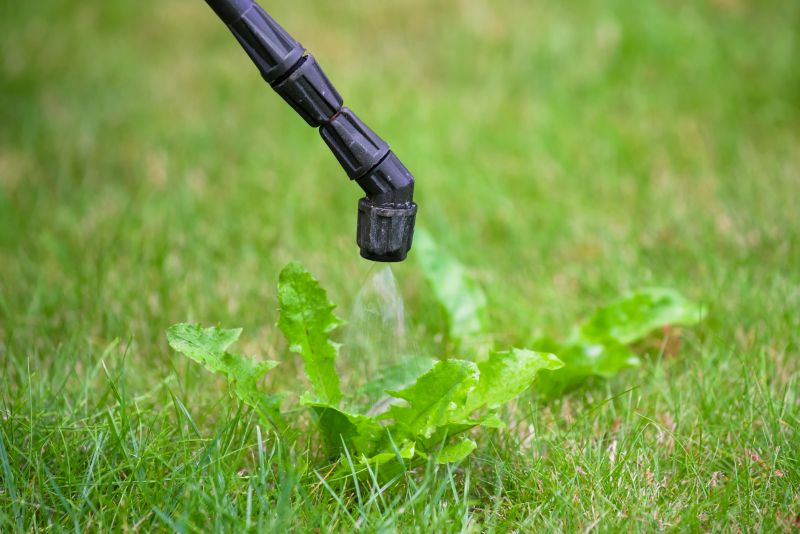 Weed Spraying in Ventura County, CA